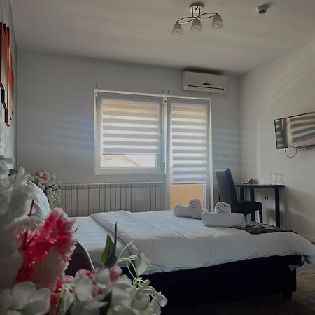 Kengur Resort بلغراد المظهر الخارجي الصورة